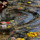 India-Bengaluru-lakes